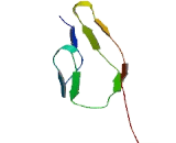 Immunoglobulin Superfamily Containing Leucine Rich Repeat Protein 2 (ISLR2)