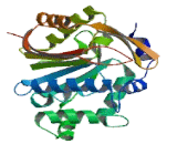 Indolethylamine-N-Methyltransferase (INMT)