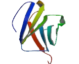 Inducible T-Cell Co Stimulator (ICOS)