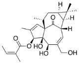 Ingenol Mebutate (IM)