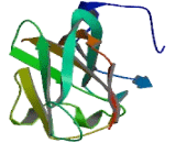 Immunoglobulin superfamily, member 1 (IGSF1)