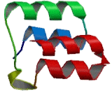 Inhibitor Of Bruton Agammaglobulinemia Tyrosine Kinase (IBTK)