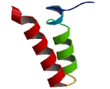 Inhibitor Of CDK, Cyclin A1 Interacting Protein 1 (INCA1)