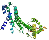 Inhibitor Of Kappa Light Polypeptide Gene Enhancer In B-Cells Kinase Gamma (IkBKg)