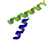 Inhibitor of DNA Binding Protein 3 (ID3)