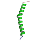 Inner Centromere Protein (INCENP)