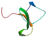 Inner Mitochondrial Membrane Peptidase 1 Like Protein (IMMP1L)