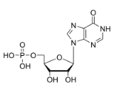 Inosinic Acid (IMP)