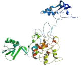 Inositol-1,3,4,5,6-Pentakisphosphate-2-Kinase (IPPK)