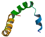 Inositol-1,4,5-Triphosphate Receptor Interacting Protein (ITPRIP)