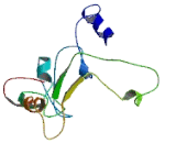 Inositol-1,4,5-Triphosphate Receptor Interacting Protein Like Protein 1 (ITPRIPL1)