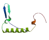 Inositol-1,4,5-Triphosphate Receptor Interacting Protein Like Protein 2 (ITPRIPL2)