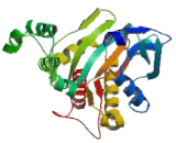 Inositol-1,4,5-Trisphosphate-3-Kinase A (ITPKA)