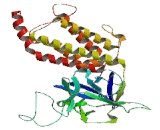 Inositol-1,4,5-Trisphosphate Receptor Type 1 (ITPR1)