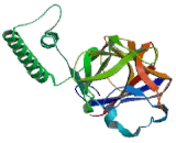 Inositol-1,4,5-Trisphosphate Receptor Type 2 (ITPR2)