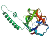 Inositol-1,4,5-Trisphosphate Receptor Type 3 (ITPR3)