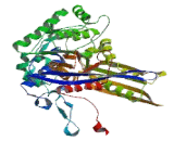 Inositol-3-Phosphate Synthase 1 (ISYNA1)