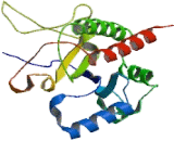 Inositol Hexaphosphate Kinase 2 (IHPK2)