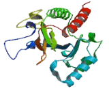 Inositol Hexaphosphate Kinase 3 (IHPK3)