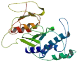 Inositol Monophosphatase 3 (IMPA3)