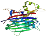 Inositol Polyphosphate-5-Phosphatase K (INPP5K)