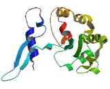 Inositol Polyphosphate Multikinase (IPMK)