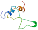 Insulin Like Protein 1 (INSL1)