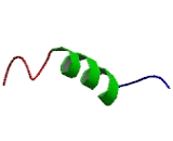 Insulin Like Protein 4 (INSL4)