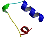 Integral Membrane Protein 1 (ITM1)