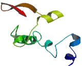 Integral Membrane Protein 2B (ITM2B)