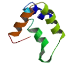 Integral Membrane Protein 2C (ITM2C)