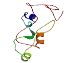 Integrator Complex Subunit 8 (INTS8)