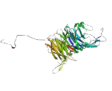 Integrin Alpha 5 (ITGa5)