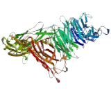 Integrin Alpha 9 (ITGa9)