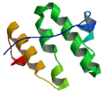 Integrin Alpha FG GAP Repeat Containing Protein 3 (ITFG3)