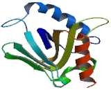 Integrin Beta 1 Binding Protein 1 (ITGb1BP1)