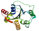 Integrin Beta 1 Binding Protein 3 (ITGb1BP3)