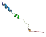 Integrin Beta 3 (ITGb3)