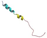 Integrin Beta 6 (ITGb6)