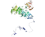 Inter Alpha-Globulin Inhibitor H5 Like Protein (ITIH5L)