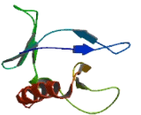 Interaction Protein For Cytohesin Exchange Factors 1 (IPCEF1)