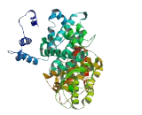 Interactor Of Little Elongator Complex ELL Subunit 1 (ICE1)