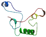 Interferon Alpha Inducible Protein 27 Like Protein 2 (IFI27L2)