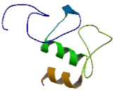 Interferon Regulatory Factor 2 Binding Protein 2 (IRF2BP2)