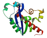 Interferon Stimulated Exonuclease Gene 20kDa (ISG20)