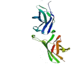 Interleukin 10 Receptor Alpha (IL10Ra)