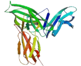 Interleukin 11 Receptor Beta (IL11Rb)