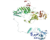 Interleukin 17 Receptor A (IL17RA)