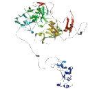 Interleukin 17 Receptor E (IL17RE)