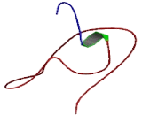 Interleukin 17 Receptor E Like Protein (IL17REL)